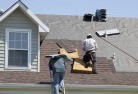 Tolmieskylights-2.jpg; ?>