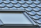 Tolmieskylights-4.jpg; ?>